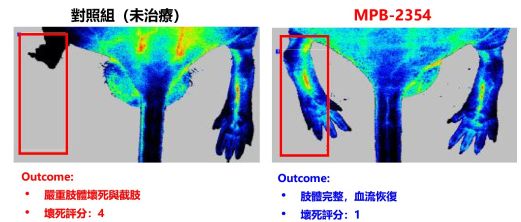 MPB 2354 20260916